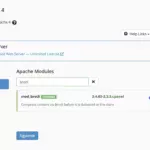 Qué es brotli, para qué sirve y como instalarlo en WHM Cpanel